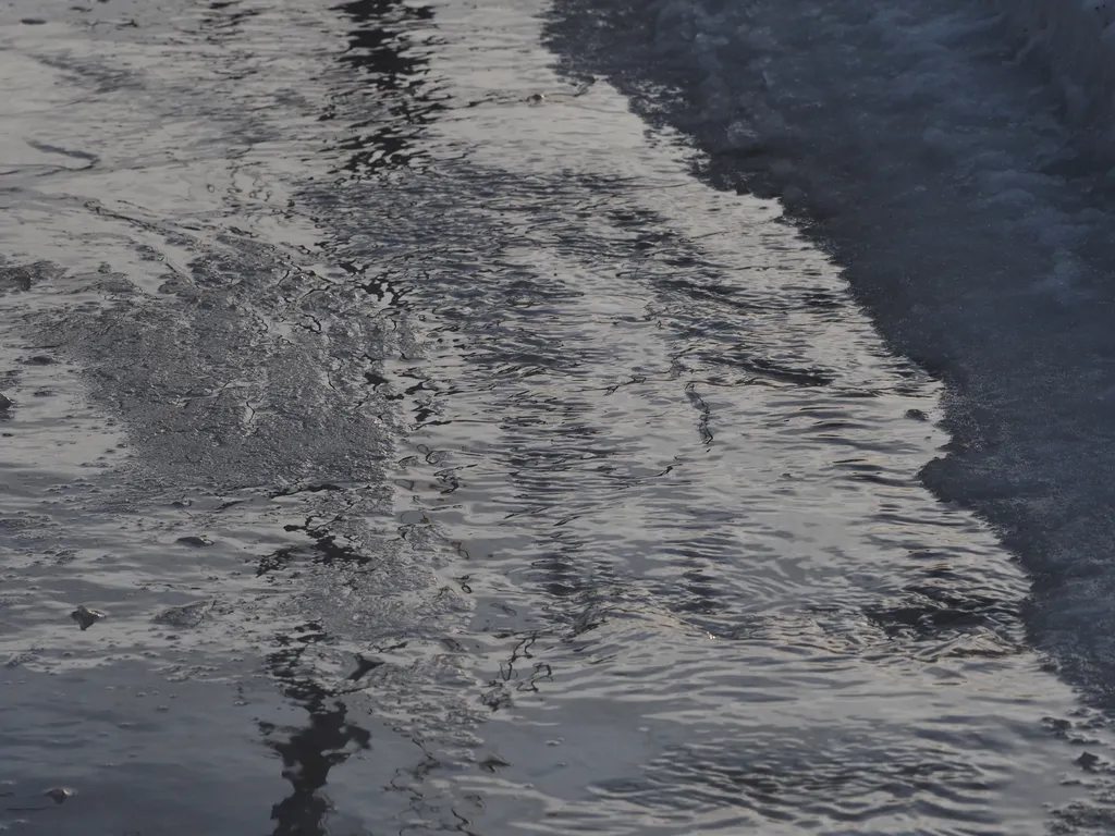 the rippling surface of a puddle