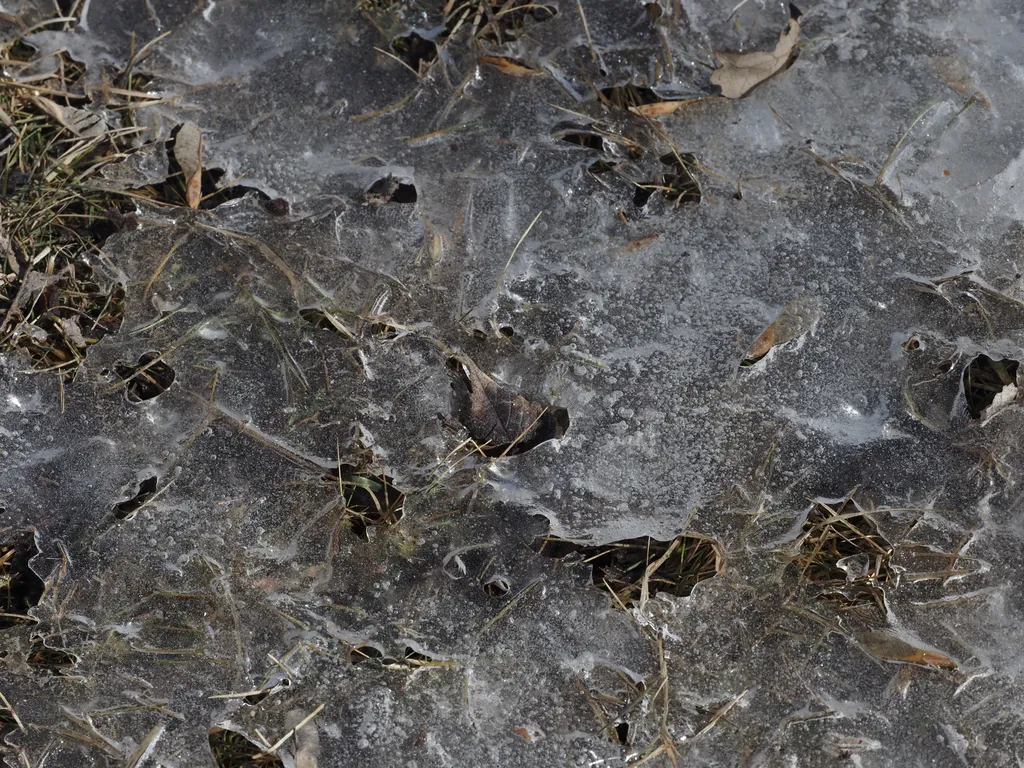 a thin sheet of ice over grass