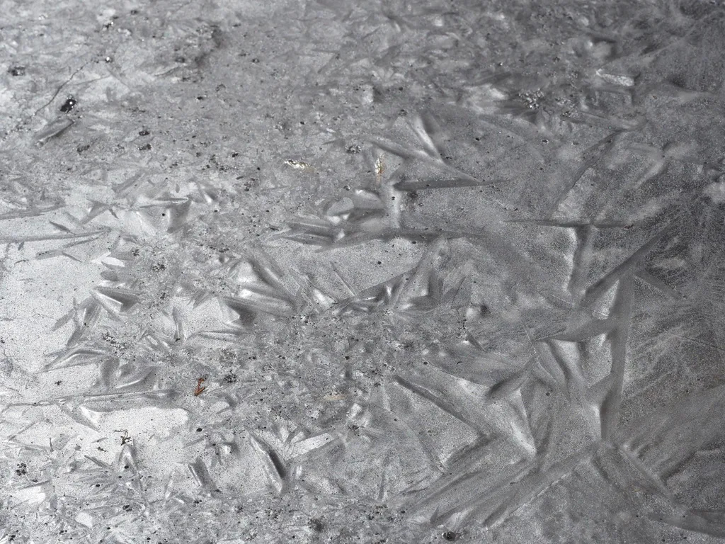 the crystalline surface of a frozen puddle