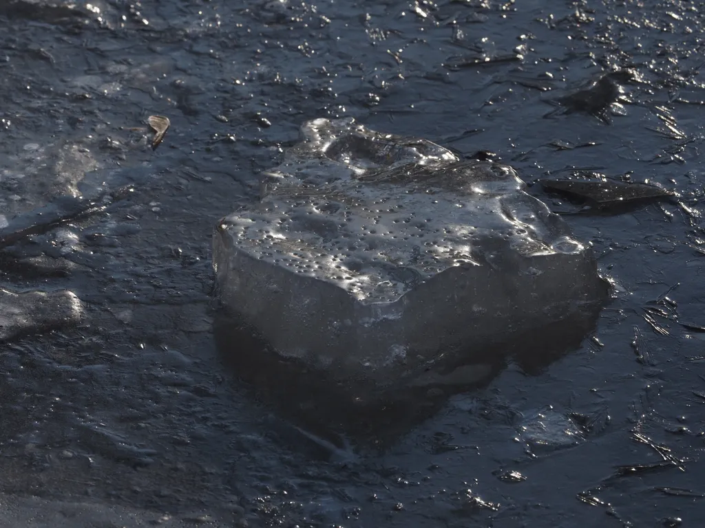 a thick chunk of ice in a frozen puddle