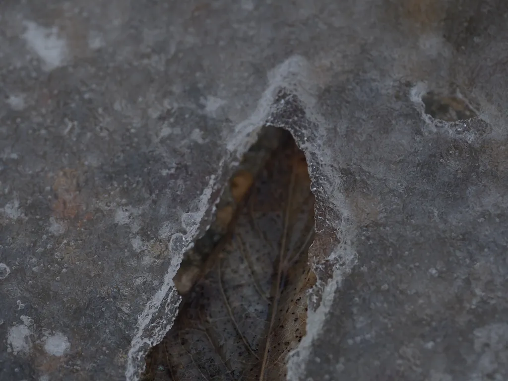 a leaf visible through a leaf-shaped hole in the ice