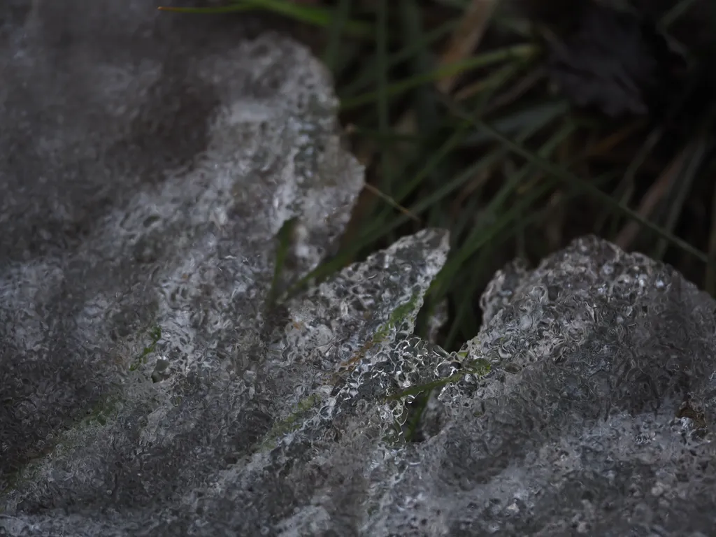 green grass visible past the retreating edge of ice