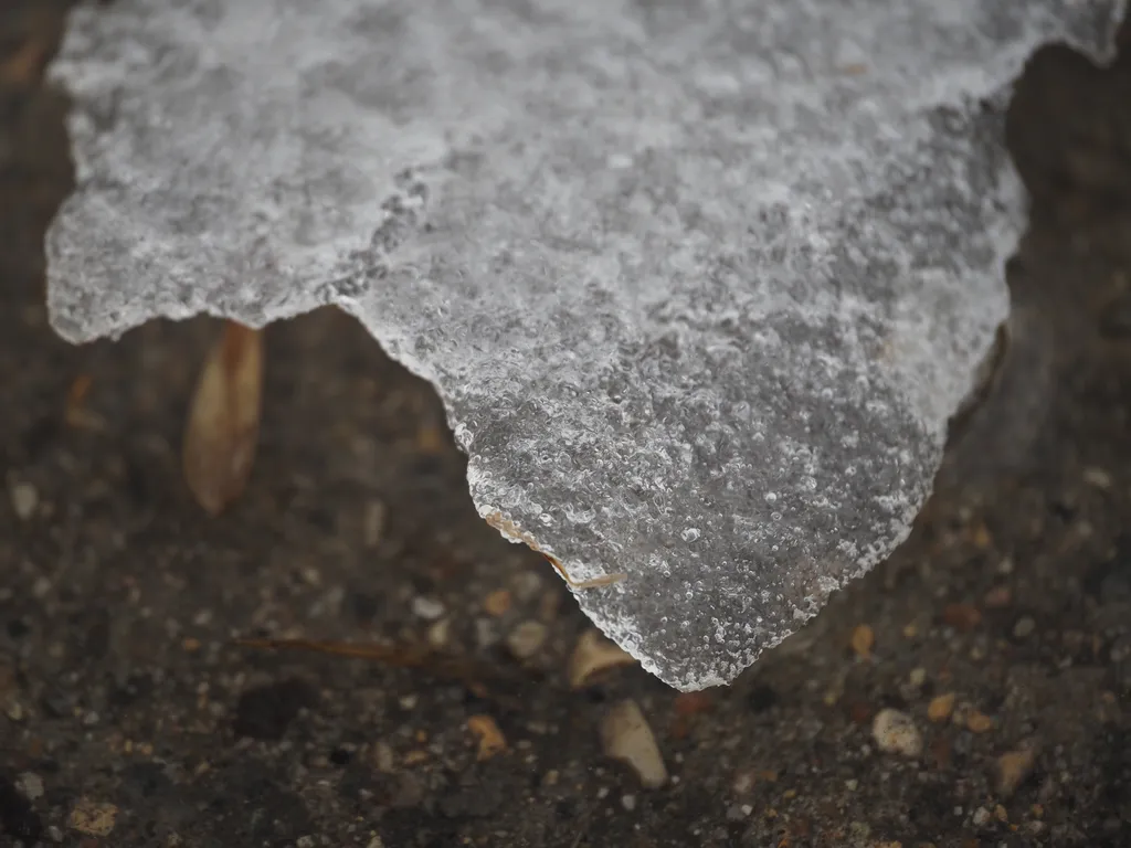 retreating ice overhanging a puddle