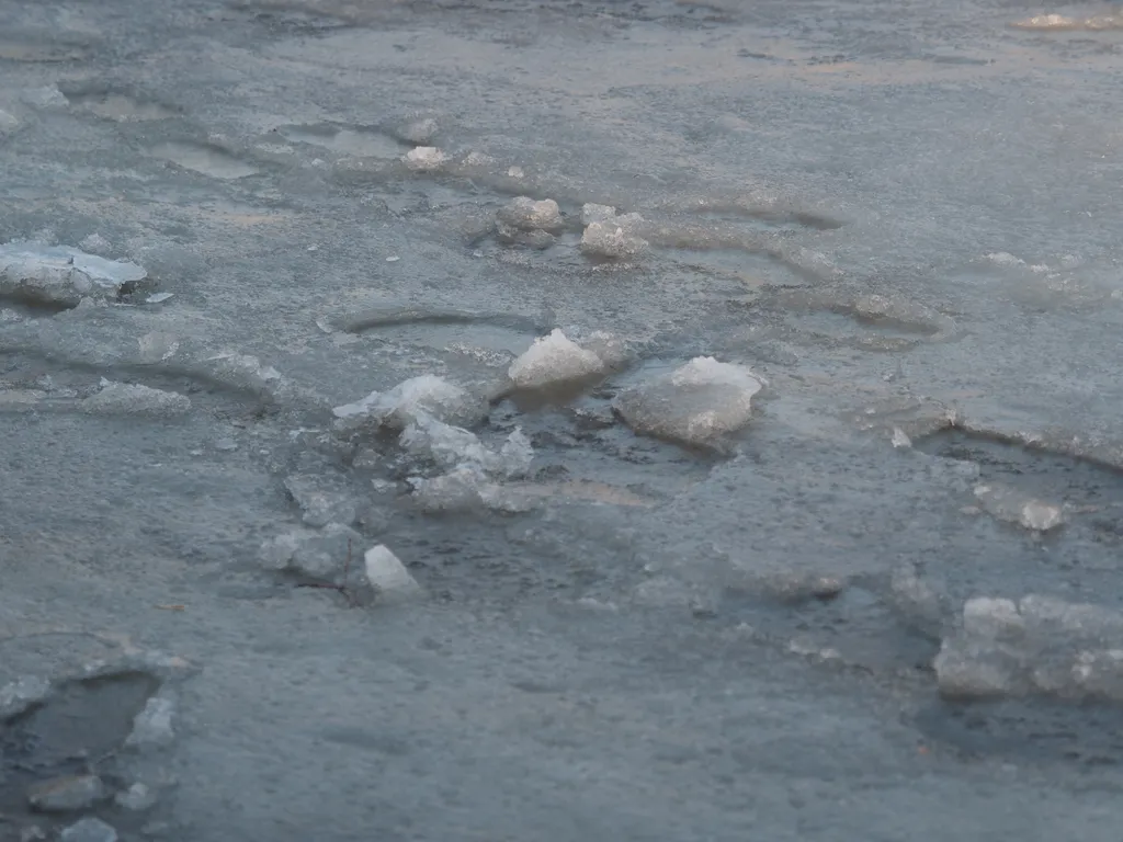 footprints frozen into a puddle