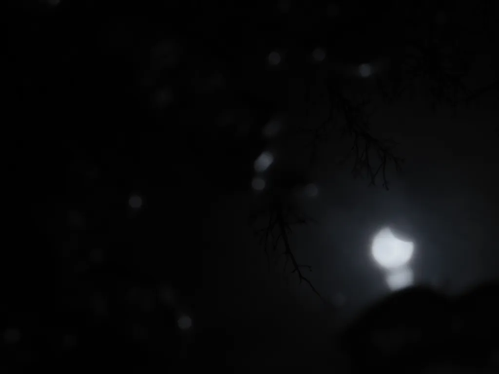 a solar eclipse reflected in a puddle