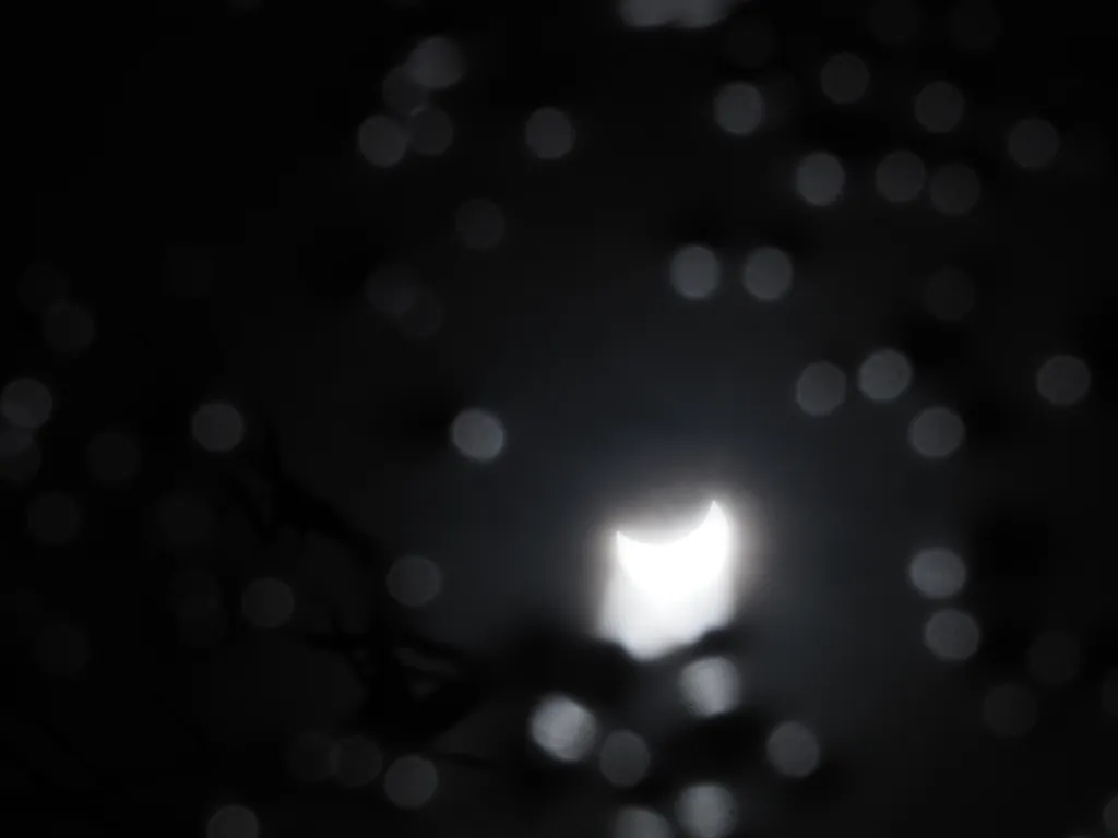 a solar eclipse reflected in a puddle