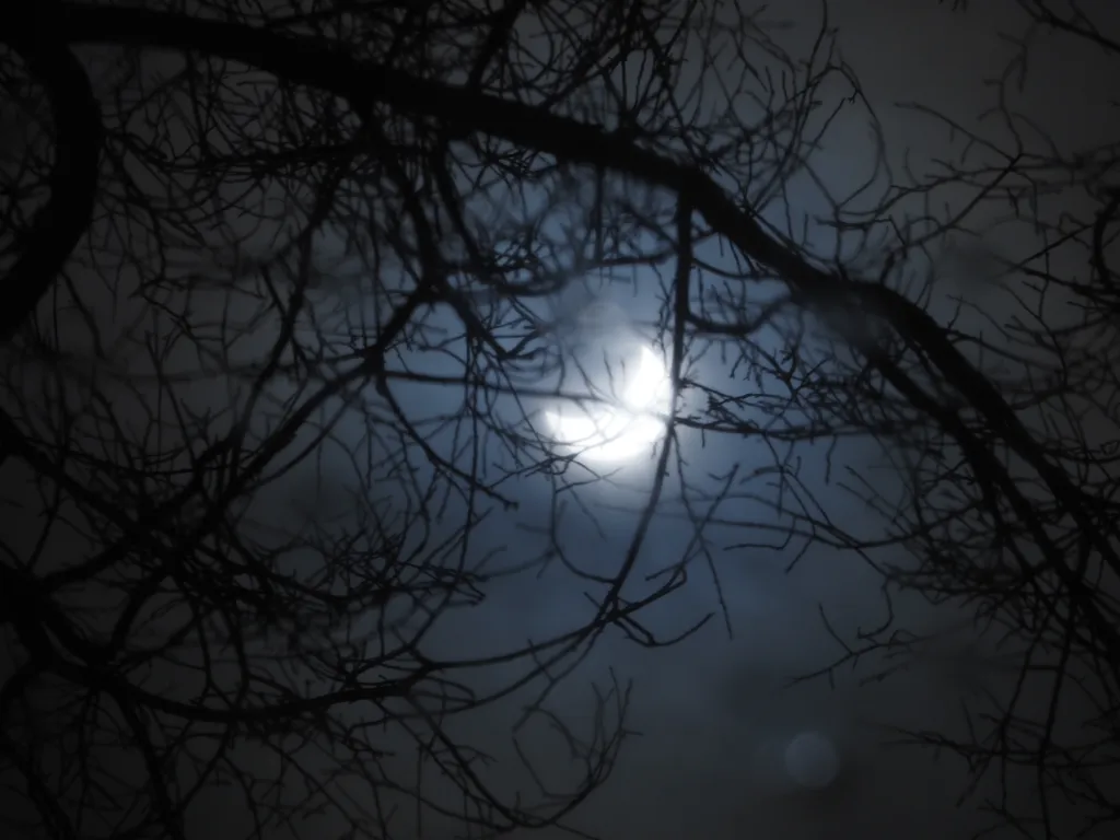 a solar eclipse reflected in a puddle