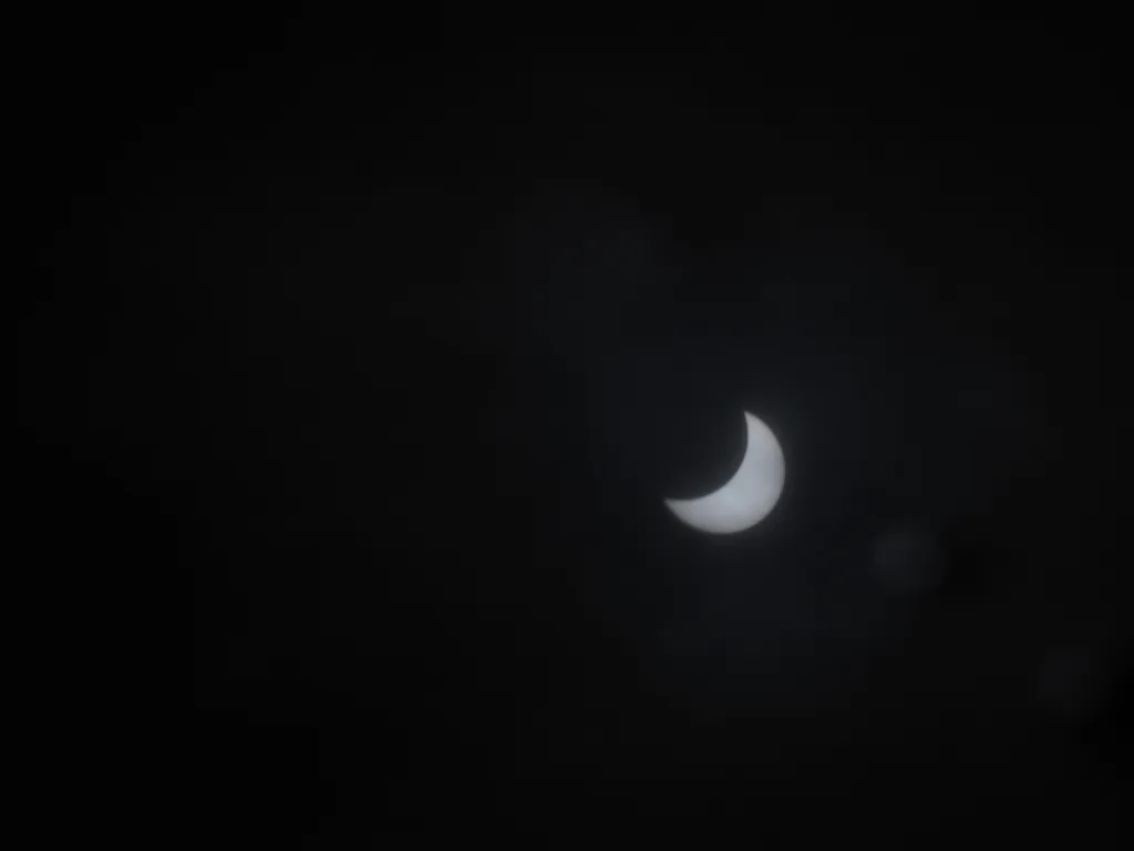 a solar eclipse reflected in a puddle