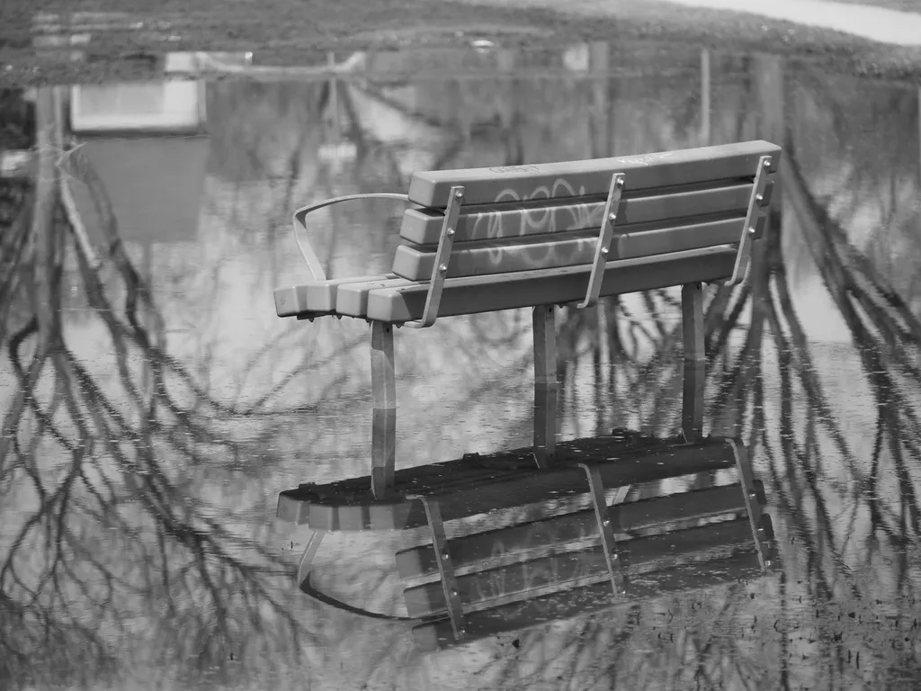 a park bench reflected in a puddle