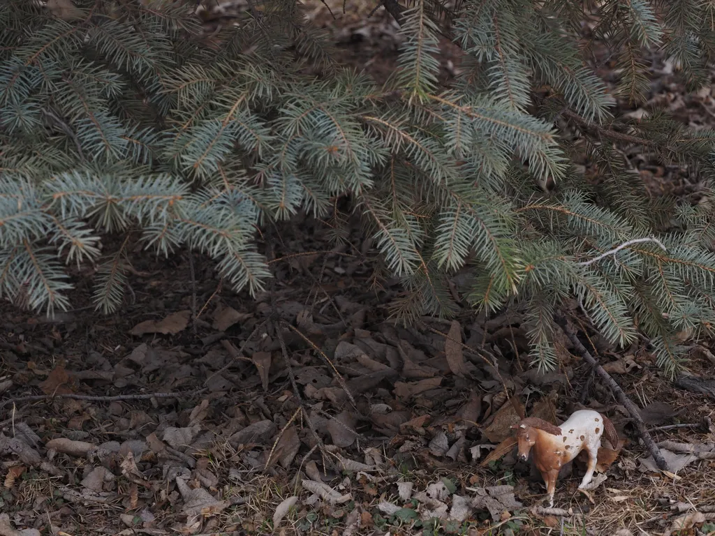 a toy horse standing alone under a pine tree