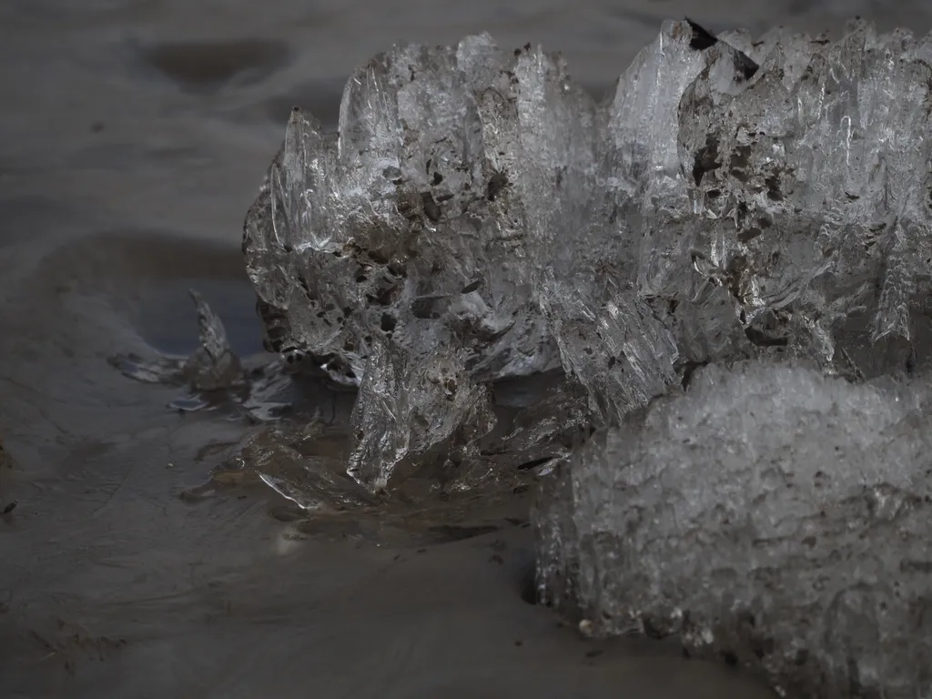 a chunk of ice on a muddy shore