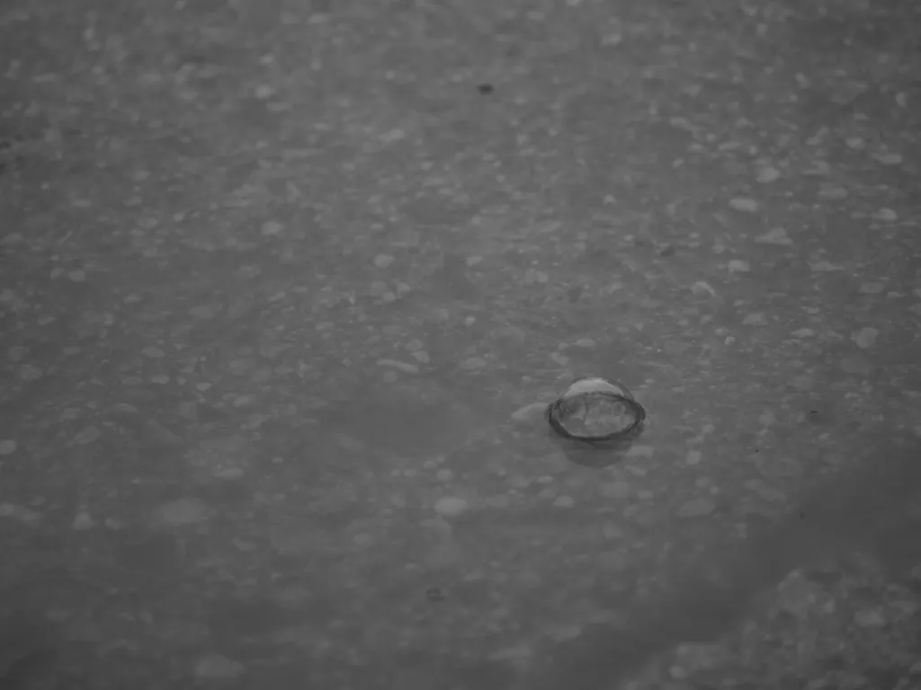 a tree reflected in a bubble on a puddle