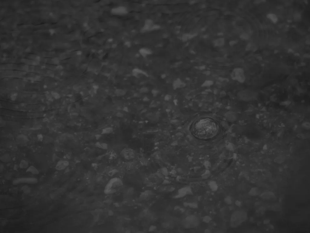 a tree reflected in a bubble on a puddle