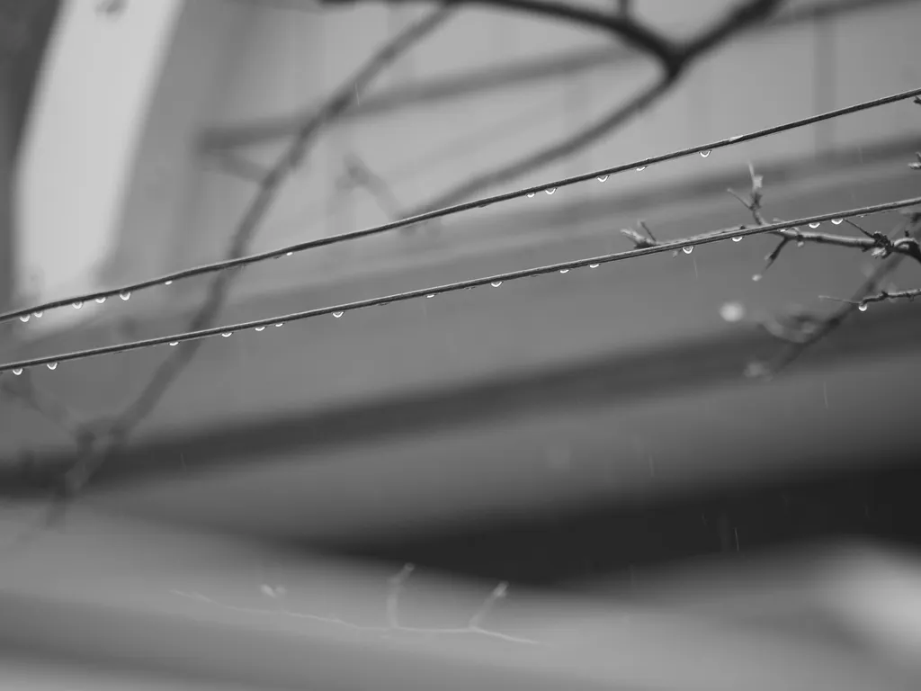 raindrops hanging from a clothesline