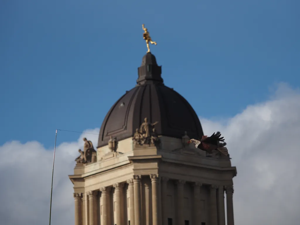 an eagle kite flying in front of the legislature