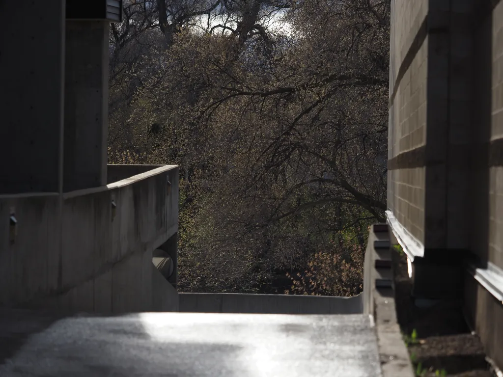 trees visible in a path beside two buildings