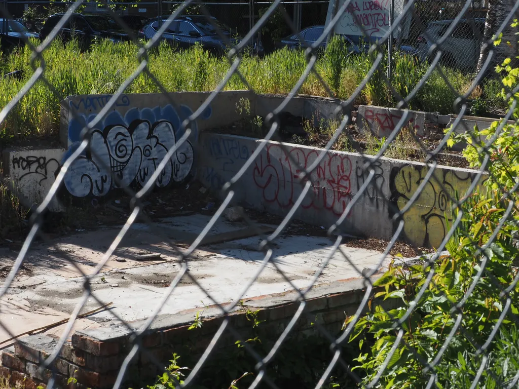 the spraypainted remains of a concrete foundation surrounded by tall plants