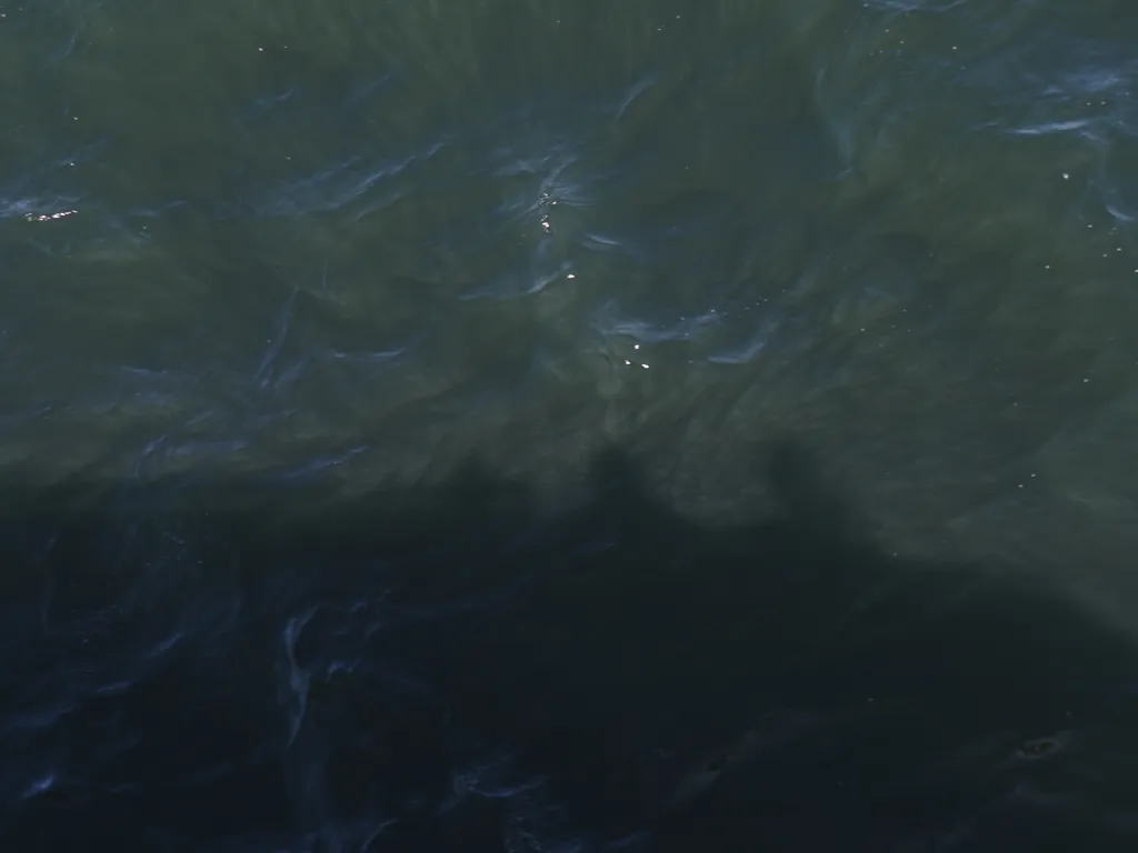 two people casting shadows onto glowing waves