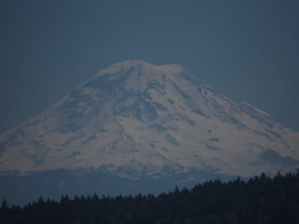 a snow-capped mountain above trees