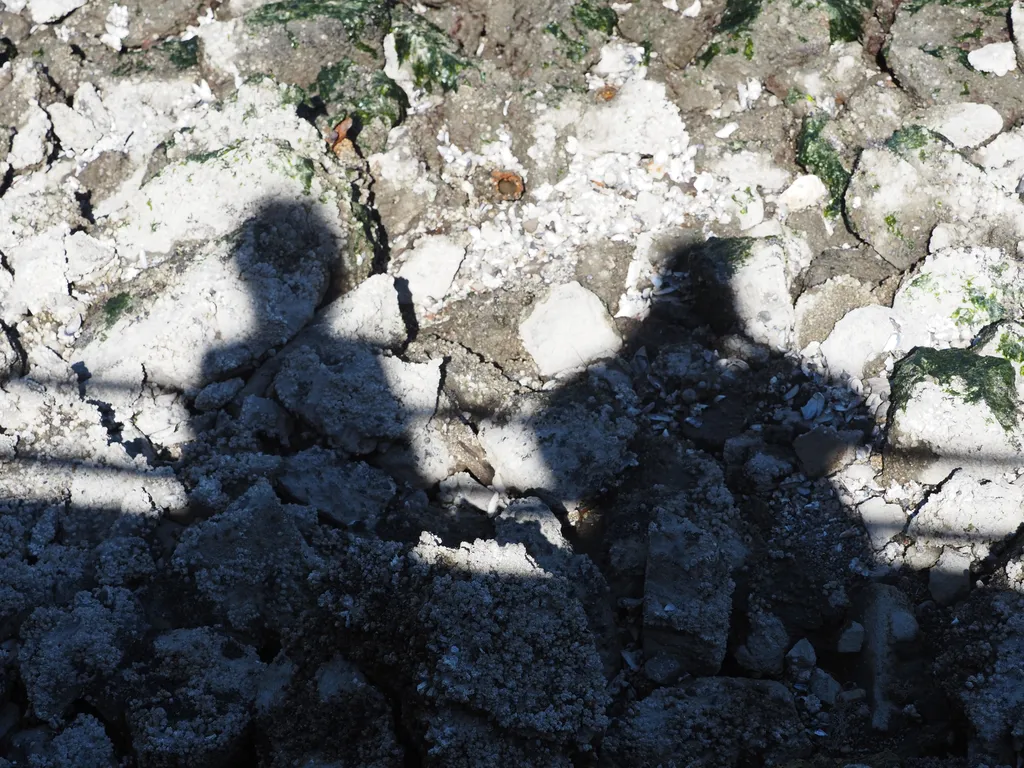 me and li looking down at some rocks