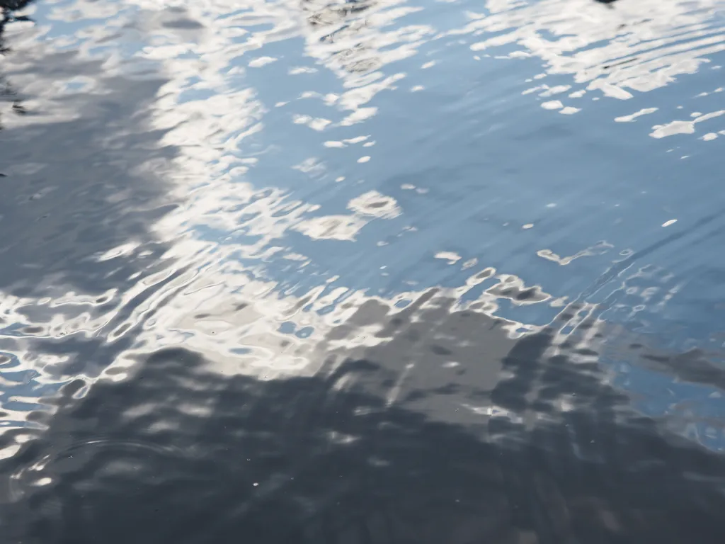 clouds reflected in a pond