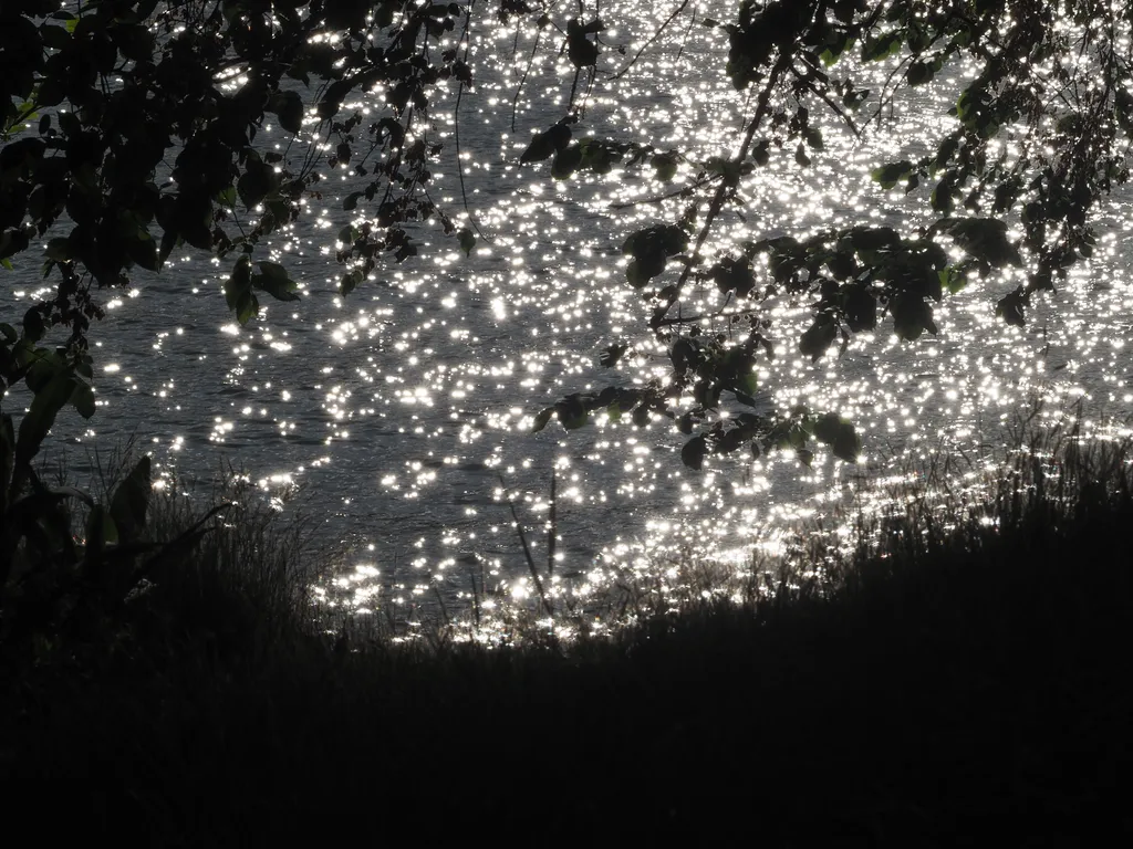 a river sparkling in the sun