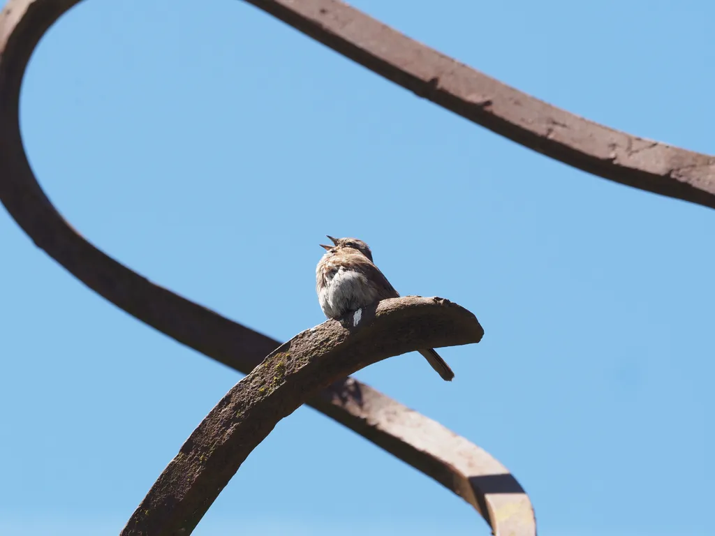 a small brown bird on a meta sculpture