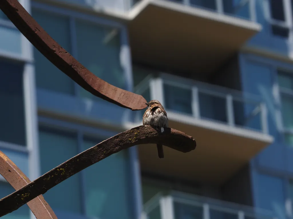 a small brown bird on a meta sculpture