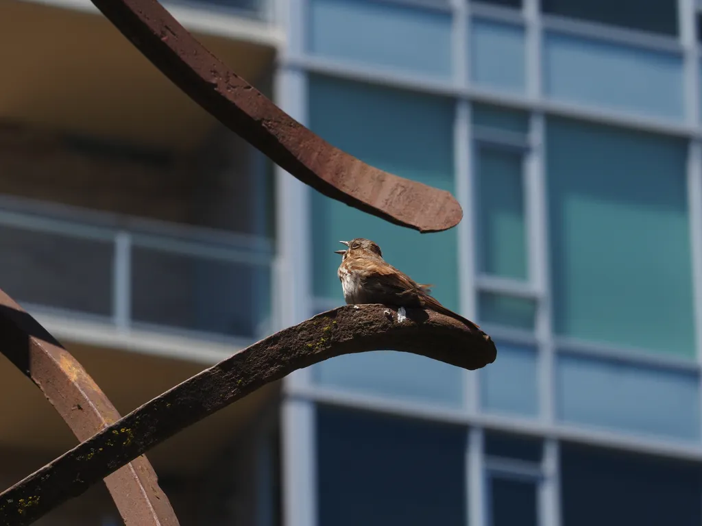 a small brown bird on a meta sculpture