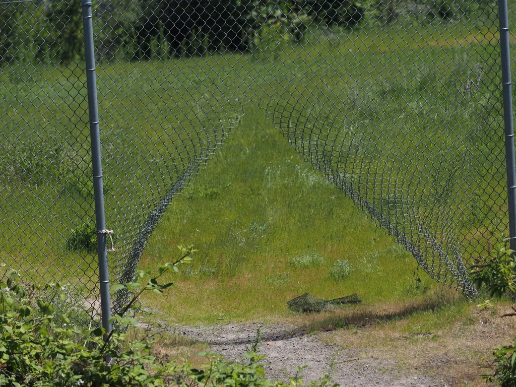 a hole cut in a chain-link fence