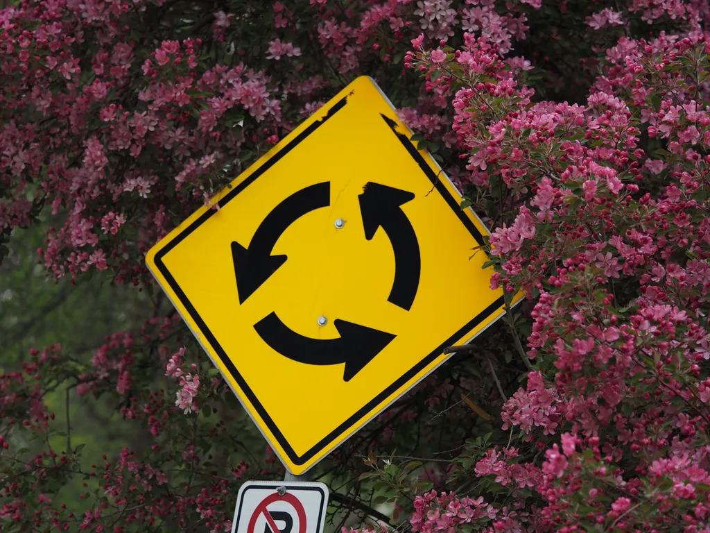 a yellow roundabout sign surrounded by pink flowers on trees