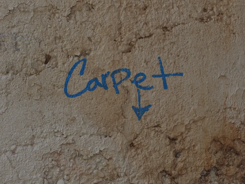 graffiti: Carpet ⬇️