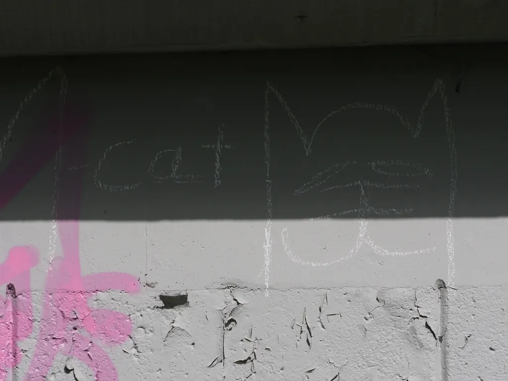 the word cat beside a drawin of a cat