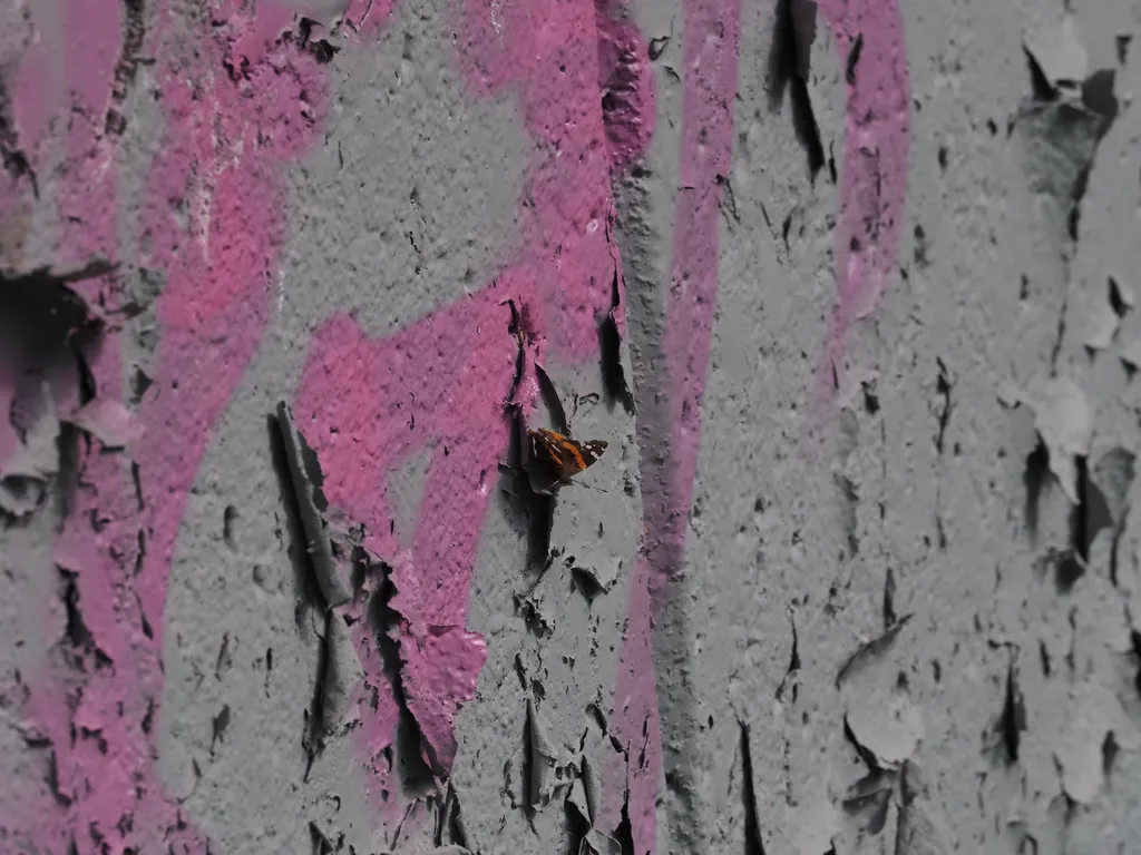 a butterfly on a bridge