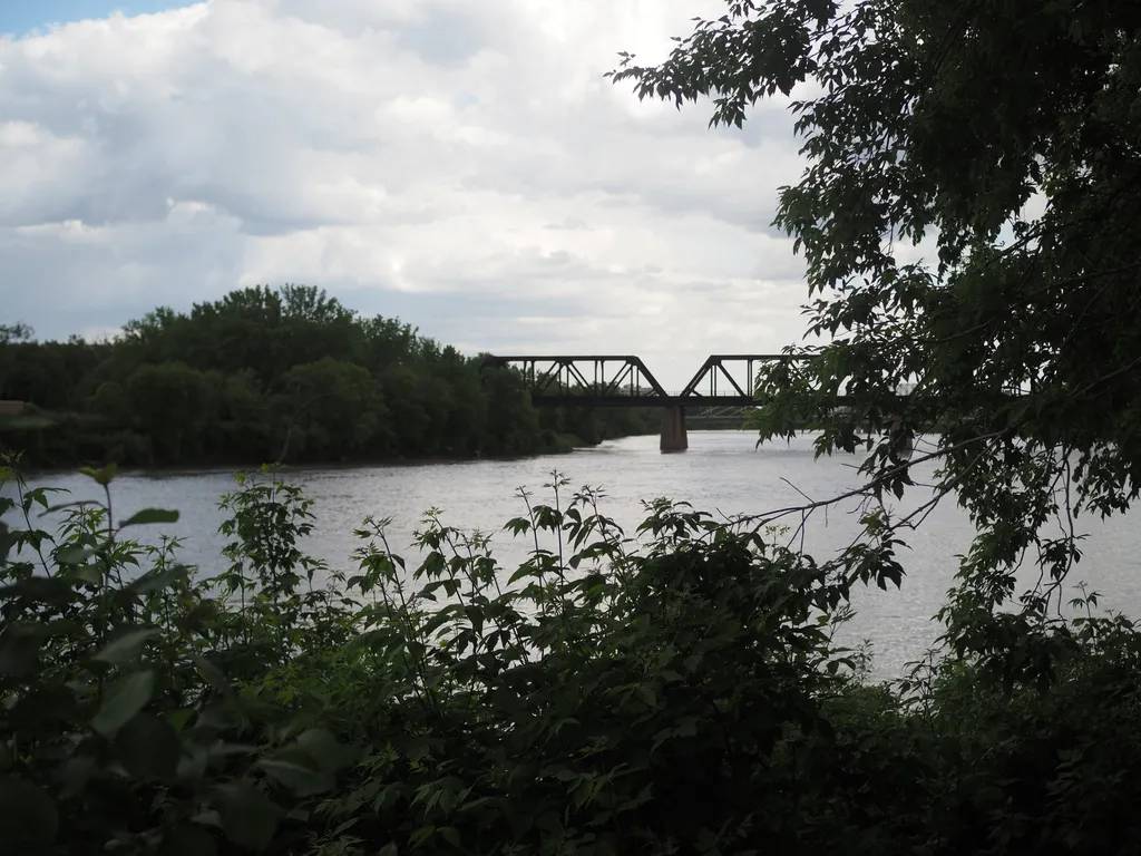 a rail bridge viewed through trees