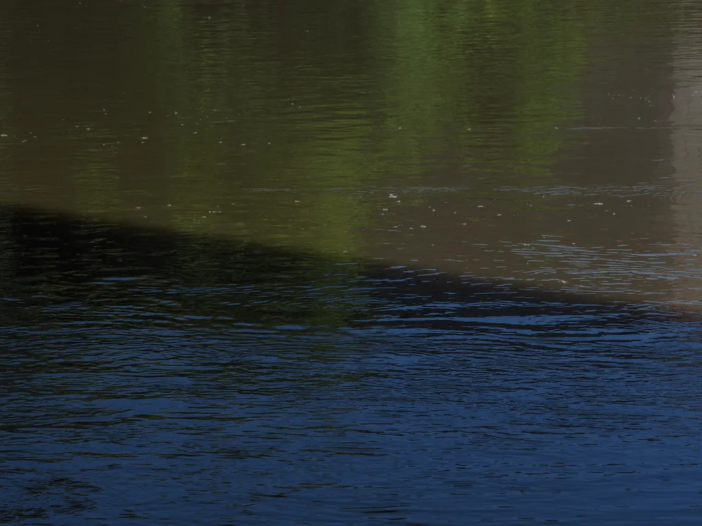 the shadow of a bridge on a river