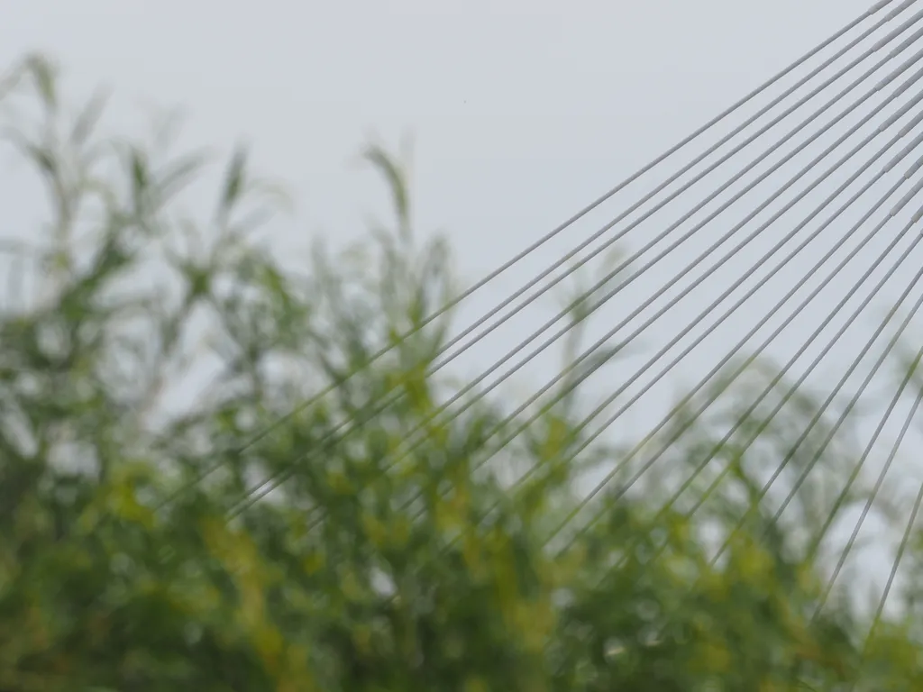 the cables of a suspension bridge visible behind tall plants