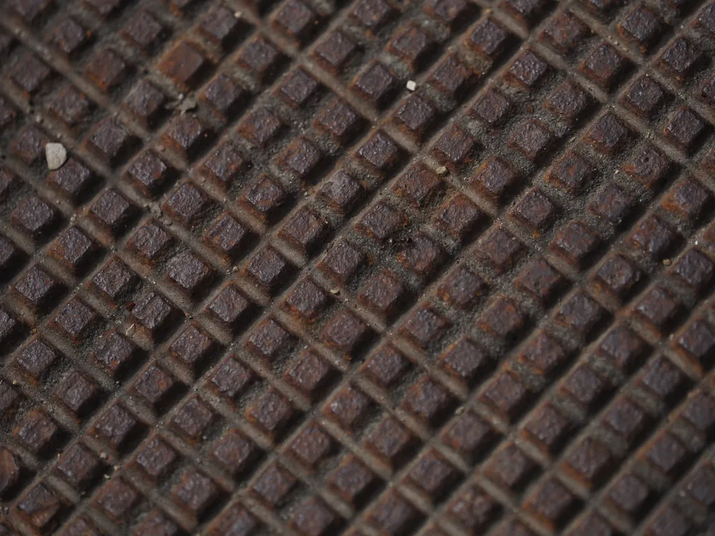 an ant on a manhole cover