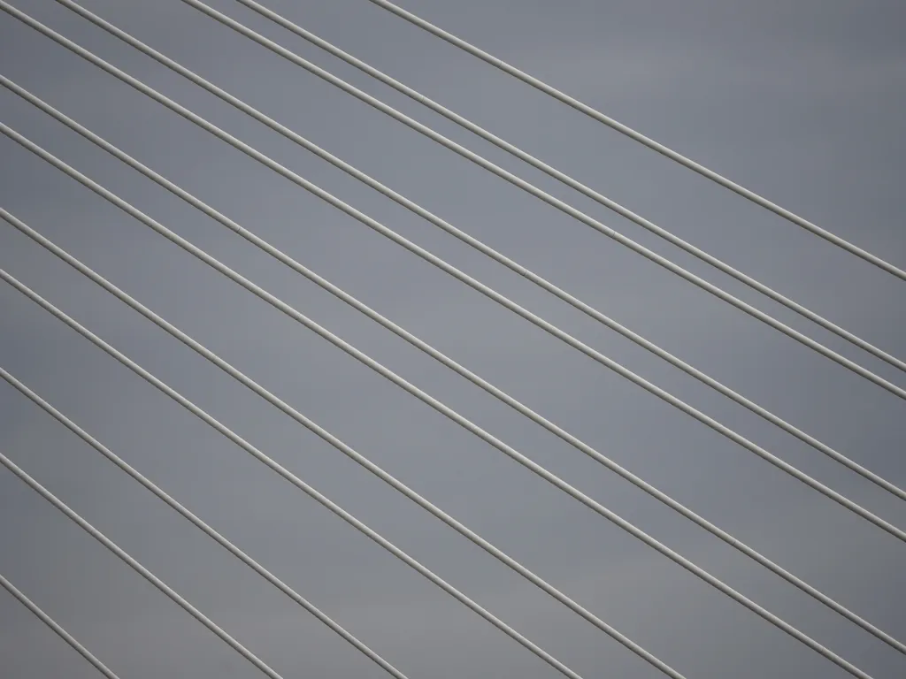 the cables of a suspension bridge