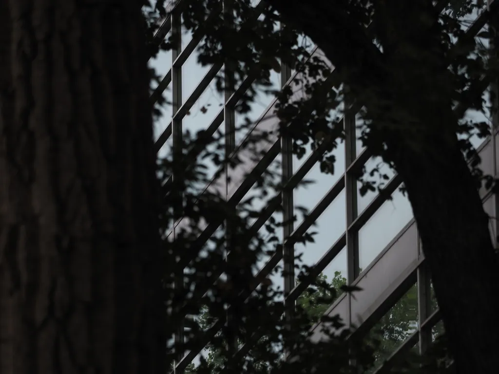 a building visible through trees