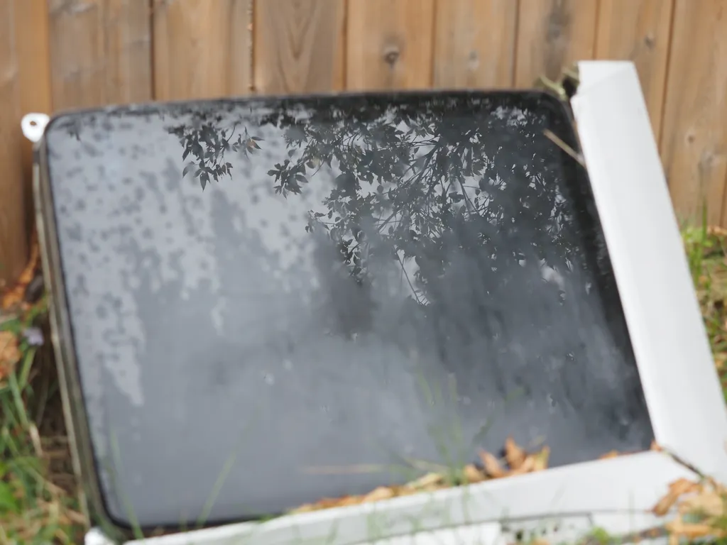 a tree reflected in a broken crt