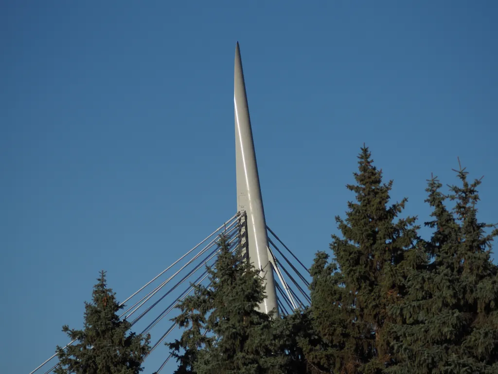 the top of a suspension bridge behind trees