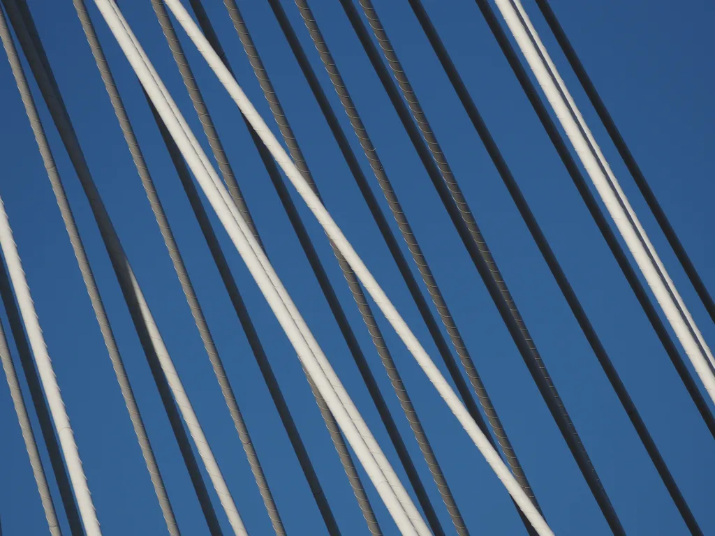 the cables of a suspension bridge