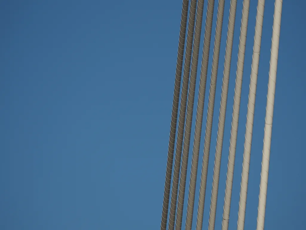 the cables of a suspension bridge