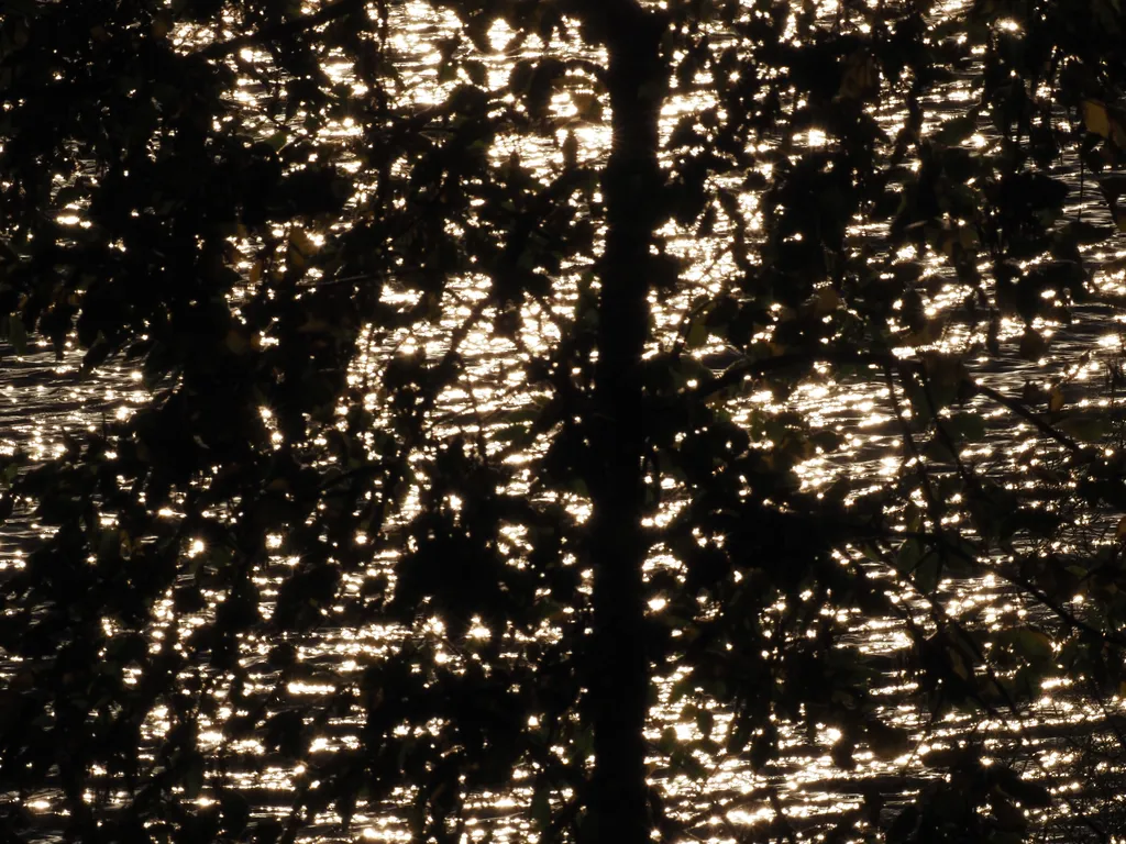 the sun reflecting on a a river as filtered through leaves