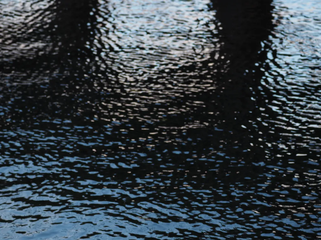 the sun reflecting on water under a pier