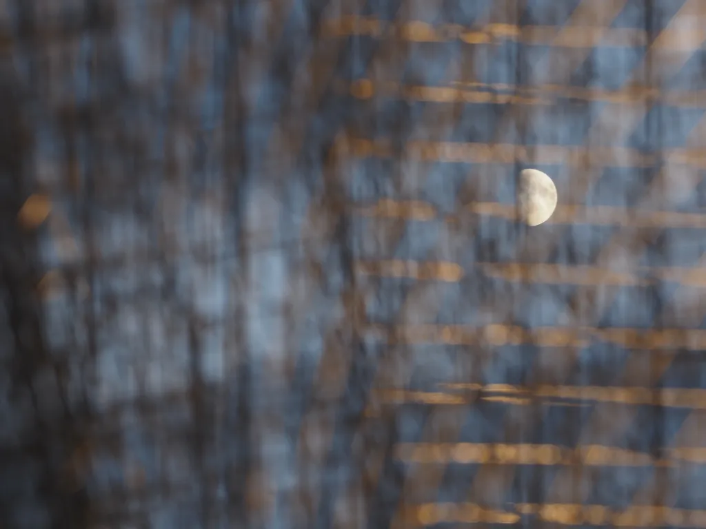 the moon viewed through a wire sculpture