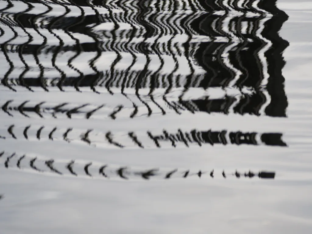 a fence reflected in a lake