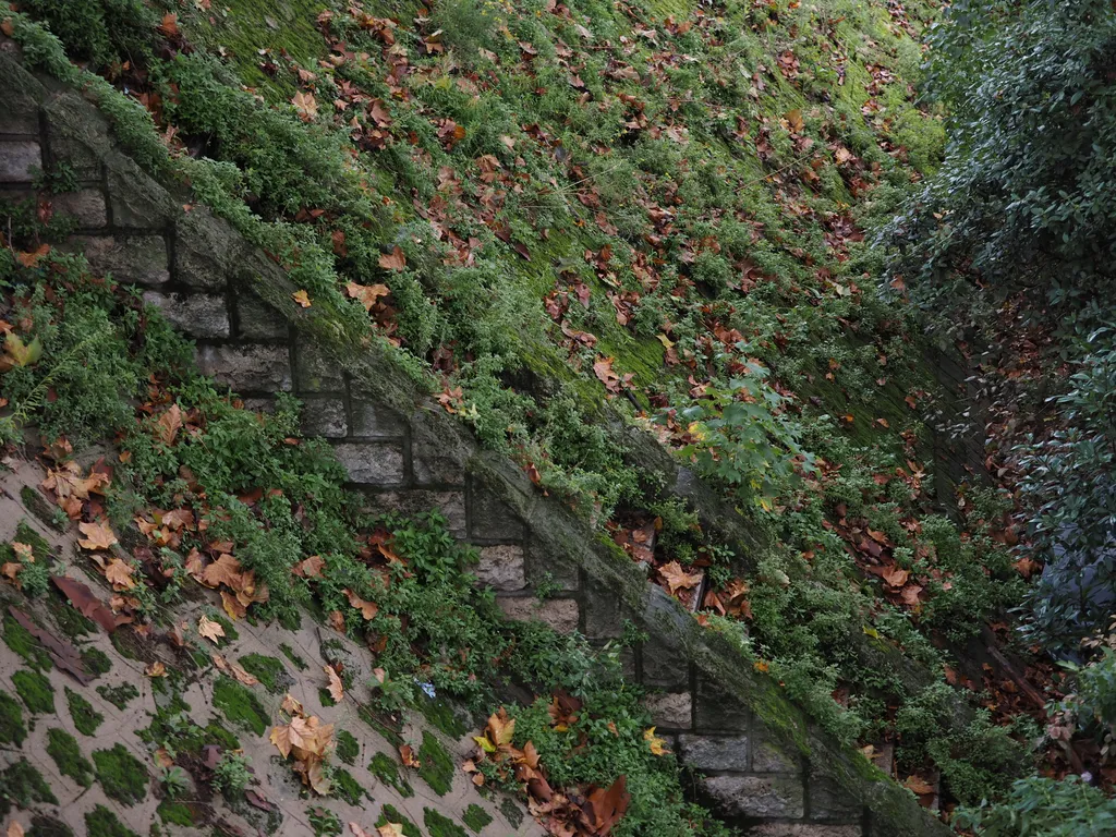 stone stairs, covered in plants, on the side of a steep hill