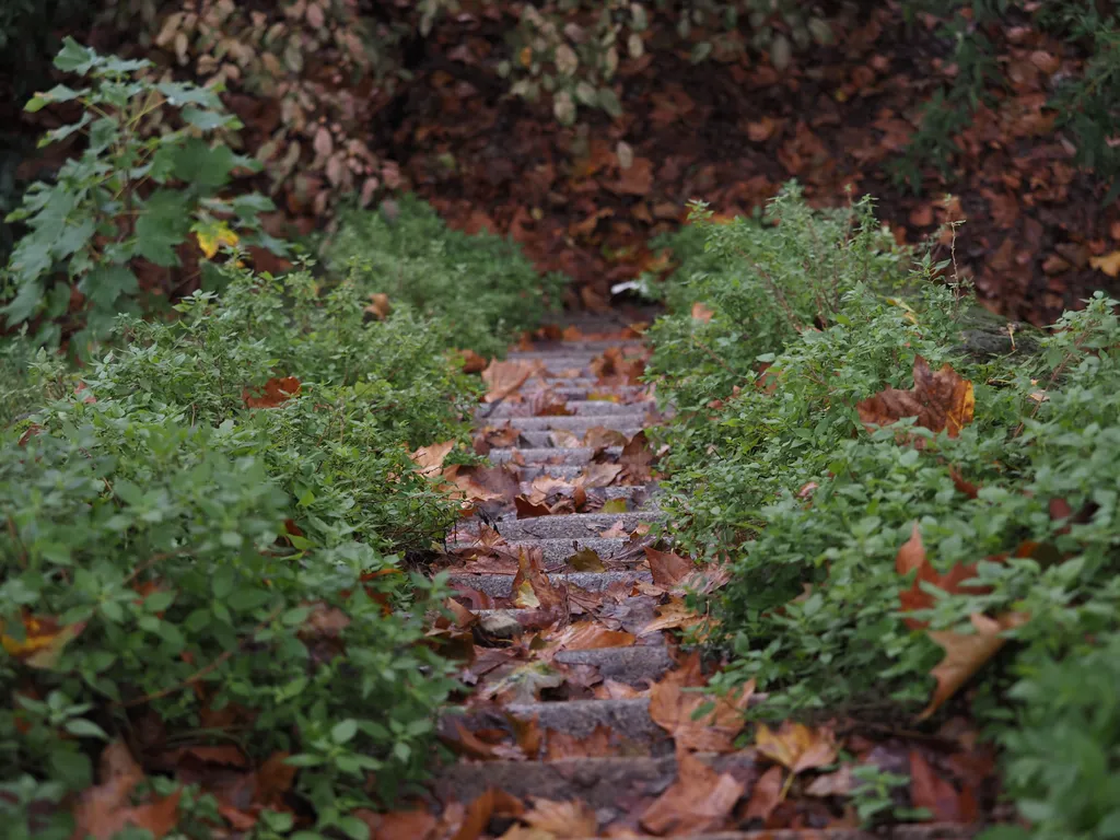 stone stairs, covered in plants, on the side of a steep hill